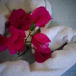 Szálloda Angelino 2*