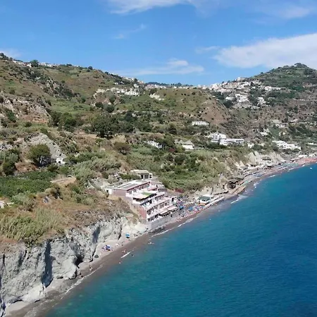 Angelino 2*